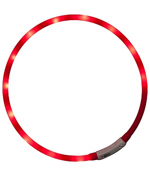 STEEDS LED-Leuchthalsband f�r Hunde - 340190