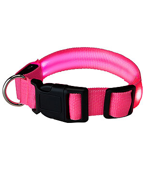 sugar dog LED-Hundehalsband Loom - 231266-M-P