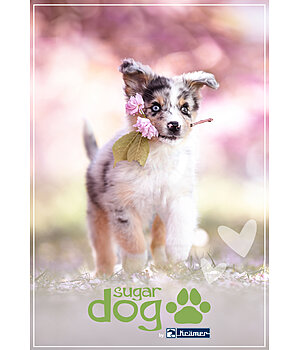 sugar dog Geschenkgutschein zum Ausdrucken - GUTZA102-5W