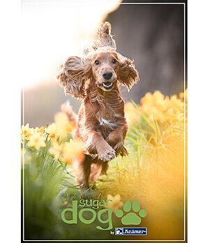 sugar dog Geschenkgutschein zum Ausdrucken - GUTZA113-5W