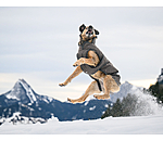 Hunde Wintermantel Eddie mit Fleeceinnenfutter, 200 g