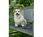Hundehalsband Rope