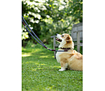 Hundehalsband Rope