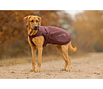 2 in 1 Nylon-Hundemantel Ally