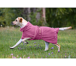 Hunde-Trocknungscape Dry Dog II
