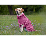 Hunde-Trocknungscape Dry Dog II