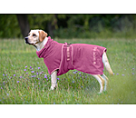 Hunde-Trocknungscape Dry Dog II
