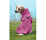 Hunde-Trocknungscape Dry Dog II