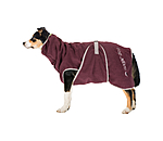Hunde-Trocknungscape Dry Dog II