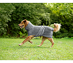 Hunde-Trocknungscape Dry Dog II