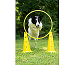 Agility Reifen