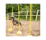 Agility St�nder