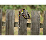 Set: Leder-Hundehalsband und -leine Polo Sports