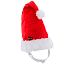 Weihnachtsm�tze Santa f�r Hunde