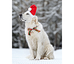 Weihnachtsm�tze Santa f�r Hunde