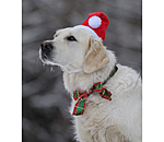 Weihnachtsm�tze Santa f�r Hunde