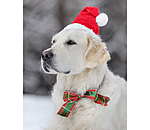 Weihnachtsm�tze Santa f�r Hunde