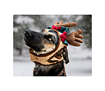 Weihnachtsgeweih Rudolph f�r Hunde