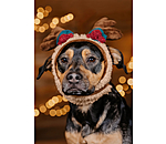 Weihnachtsgeweih Rudolph f�r Hunde