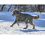Hundemantel Archie mit Teddyfleece-Innenfutter, 160 g