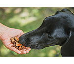 Bunter Snack-Mix f�r Hunde