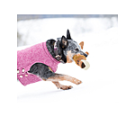 Hundespielzeug Kuschel-L�we Lio