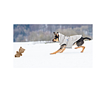 Hundespielzeug Kuschel-B�r Bruno
