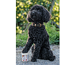 Pfotenschutz-Balsam Soft Velvet f�r Hunde