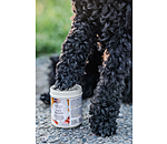 Pfotenschutz-Balsam Soft Velvet f�r Hunde