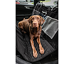 Universal-R�ckbankschoner f�r Hunde Road Trip