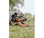Putenh�lse Hundesnack