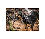 Hundehalsband in Leder-Optik Nashville