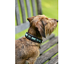 Hundehalsband in Leder-Optik Nashville