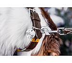 Charm f�r Hunde Travel Buddy