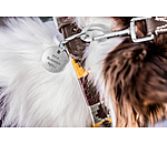 Charm f�r Hunde Travel Buddy