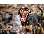 Tau-Hundespielzeug Sepp