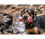Tau-Hundespielzeug Sepp