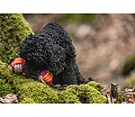 Tau-Hundespielzeug Sepp