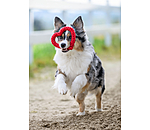 Tau-Hundespielzeug Valentine