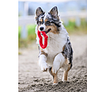 Tau-Hundespielzeug Valentine