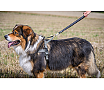 Waterproof Kurzf�hrer Jug f�r Hunde