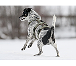 Sicherheitsgeschirr Irmi f�r Hunde