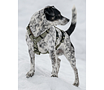 Sicherheitsgeschirr Irmi f�r Hunde