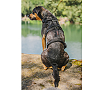 Sicherheitsgeschirr Irmi f�r Hunde