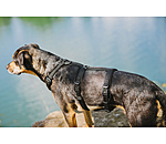 Sicherheitsgeschirr Irmi f�r Hunde