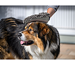 Handschuh-Striegel Cosma f�r Hunde