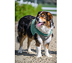 K�hl-Weste Refresh f�r Hunde