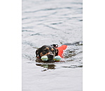 Wasser-Hundespielzeug Marble Bone