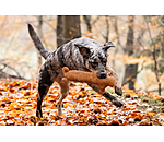 Hundespielzeug Jasper