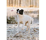 Hundespielzeug Unicorn mit Quietsche